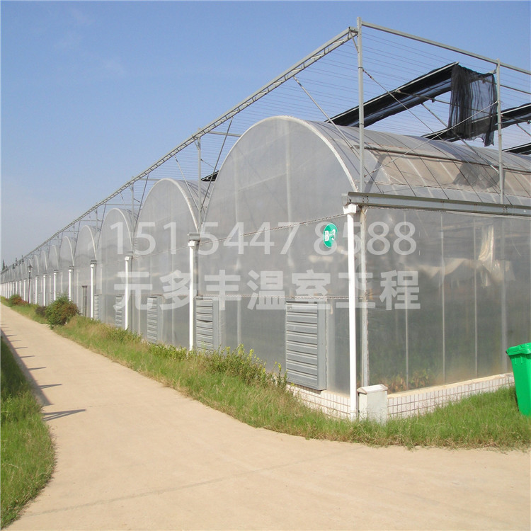 连栋温室大棚 (1).jpg