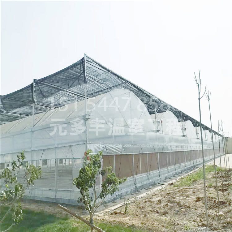 连栋温室大棚 (15).jpg