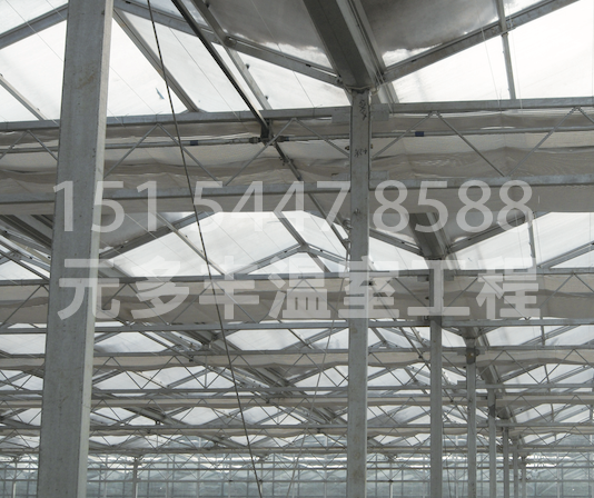 1593359409180042.png