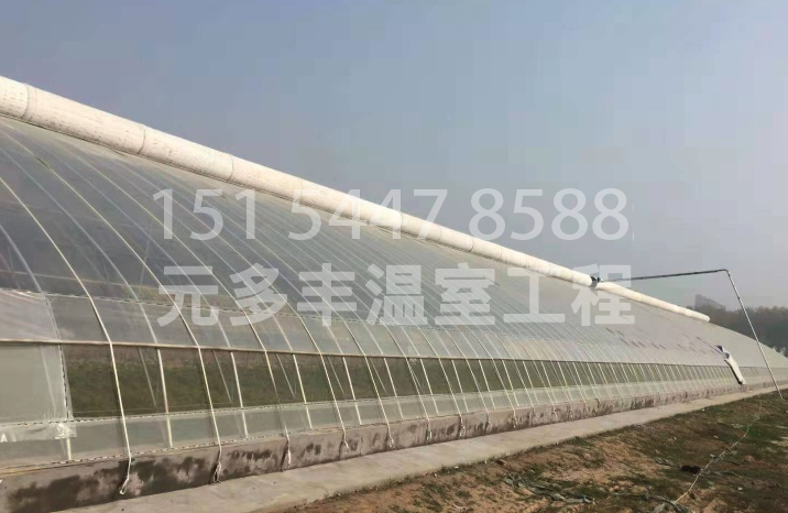河北日光温室的类型以及特点介绍