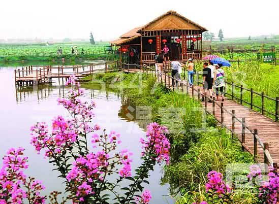 休闲农业有新路，农田景观引客来