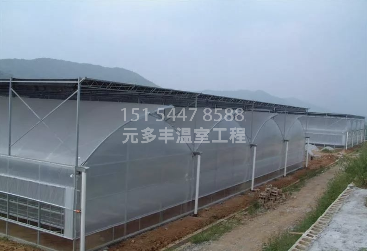 建造一亩简易连栋温室需要多少钱？附连栋温室详细报价
